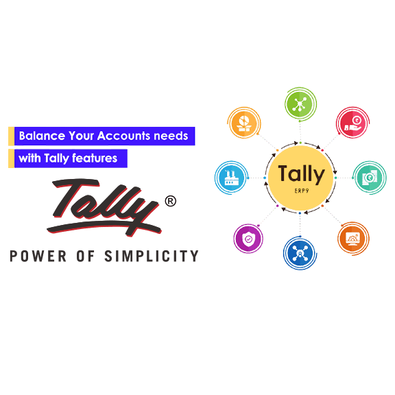 Tally Software Services (TSS)